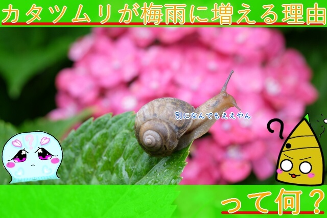 Thumbnail of post image 012